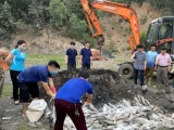 Thanh Hoá: Xử phạt 2 doanh nghiệp xả thải làm cá chết ở Nghi Sơn gần 1 tỷ đồng