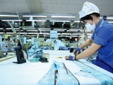 ADB hạ dự báo tăng trưởng GDP Việt Nam còn 3,8% trong năm 2021