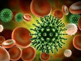 Biến thể R.1 của virus SARS-CoV-2 lây lan mạnh tại Mỹ, có thể kháng vaccine