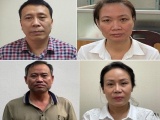Khởi tố, bắt tạm giam thêm 4 bị can trong vụ 'thổi giá' cây xanh ở Hà Nội