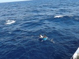 Tàu Vùng 2 Hải quân đưa 5 ngư dân bị nạn trên biển về bờ an toàn