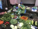 Giá rau xanh tại Hà Nội tăng mạnh sau đợt mưa dông kéo dài