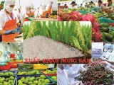 Tổng kim ngạch xuất nhập khẩu nông, lâm, thủy sản Việt Nam ước đạt trên 74 tỷ USD