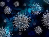 Phát hiện kháng thể chống lại tất cả virus corona