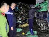 Quảng Ninh: Tiêu hủy hơn 4 tấn chân gà không rõ nguồn gốc