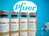 Hà Nội tạm dừng tiêm 2 lô vaccine Pfizer được gia hạn sử dụng
