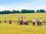 LienVietPostBank: Cho vay trong nông nghiệp là ưu tiên hàng đầu