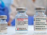 Bộ Y tế cho phép tiêm trộn vaccine Moderna với Pfizer hoặc AstraZeneca