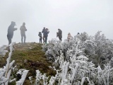 Bắc Bộ rét đậm vào cuối tuần, xuất hiện mưa tuyết và băng giá