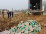 Lạng Sơn: Tiêu hủy 14 tấn lưỡi bò không đảm bảo an toàn thực phẩm
