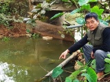 Thanh Hoá: Giả mạo giấy tín dụng Ngân hàng, Công ty nước sạch Hà Trung bị điều tra