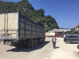 Lạng Sơn dừng nhận xe chở hoa quả tươi đến cửa khẩu từ 17/1 đến Tết Nguyên đán