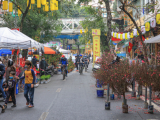 Chợ hoa phố cổ Hà Nội vẫn trầm lắng khi Tết Nguyên đán cận kề