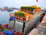 Quảng Ngãi: Khẩn trương chở hàng Tết, đảm bảo cung ứng cho đảo Lý Sơn
