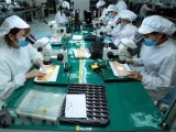 FTA tiếp tục là những xung lực hỗ trợ cho kinh tế Việt Nam tăng trưởng