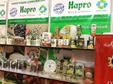 Xuất khẩu của Hapro: Tín hiệu vui đầu xuân mới Nhâm Dần 2022