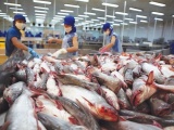 Xuất khẩu thủy sản Việt Nam có thể đạt 9,2 tỷ USD trong năm nay