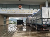 Lào Cai: Chủ động kiểm soát, phòng chống dịch đối với hàng hóa nông sản xuất khẩu