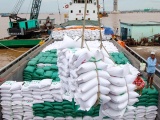 Xuất khẩu gạo tăng mạnh trong tháng đầu năm 2022