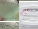 Cảnh báo một số lô sữa Abbott nhập khẩu về Việt Nam nhiễm khuẩn độc hại