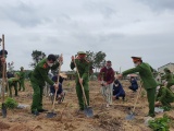 Quảng Bình: Cán bộ, chiến sĩ, phạm nhân trại giam Đồng Sơn trồng hàng nghìn cây xanh