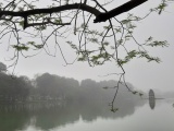 Dự báo thời tiết ngày 14/3: Bắc Bộ có sương mù, Tây Nguyên và Nam Bộ mưa rào