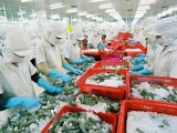 Quý I/2022, thị trường Brazil với kim ngạch xuất khẩu các mặt hàng nông lâm thủy sản sang Việt Nam đứng đầu