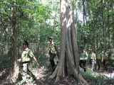 Khu bảo tồn thiên nhiên - văn hóa Đồng Nai: Quyết liệt với công tác giữ rừng