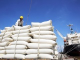 Giá gạo xuất khẩu của Việt Nam cao nhất từ đầu năm