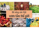 Hướng đi nào giúp nông sản Việt vươn tầm quốc tế?