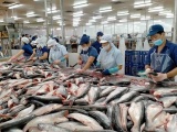Kim ngạch xuất khẩu cá tra tăng mạnh trong ba tháng đầu năm