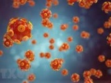 3 bệnh nhi ở Indonesia tử vong vì bệnh viêm gan bí ẩn