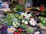 Hà Nội: Giá rau xanh tăng phi mã sau đợt mưa dông kéo dài