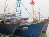 Từ ngày 30/7, tỉnh Quảng Ngãi sẽ đình chỉ hoạt động tàu cá không lắp đặt thiết bị giám sát
