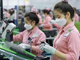 Việt Nam xuất khẩu điện thoại lớn thứ 2 thế giới