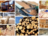 Trung Quốc là một trong 5 thị trường xuất khẩu gỗ và sản phẩm gỗ lớn nhất của Việt Nam