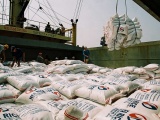 Philippines giảm thuế nhập khẩu gạo từ các nước bên ngoài khu vực Đông Nam Á