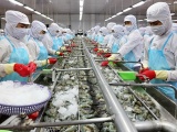 Việt Nam nằm trong 7 nước xuất khẩu tôm lớn nhất thế giới