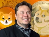 Tỷ phú Elon Musk bị kiện đòi bồi thường 258 tỷ USD