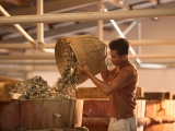 Nước mắm Việt Nam và Thái Lan: Cuộc “so kè” về hương vị và chỗ đứng trên thị trường xuất khẩu