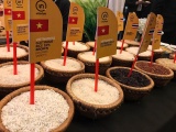 500 tấn gạo thương hiệu Việt được xuất khẩu sang Châu Âu
