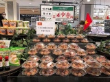 Việt Nam tăng xuất khẩu hàng hóa vào thị trường Nhật Bản