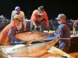 Việt Nam đẩy mạnh xuất khẩu cá ngừ sang Chile