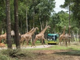  Gặp gỡ “người hùng thầm lặng” tại Vinpearl Safari Phú Quốc