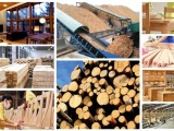 Xuất khẩu gỗ và lâm sản còn đối mặt với nhiều khó khăn