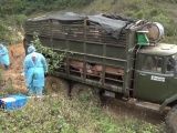 Lạng Sơn: Ngăn chặn hành vi buôn lậu, vận chuyển trái phép lợn qua biên giới