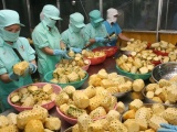 Việt Nam đã thực hiện nhiều giải pháp hỗ trợ doanh nghiệp xuất khẩu