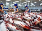 Nhiều doanh nghiệp xuất khẩu cá tra ghi nhận mức lãi khủng trong quý II/2022