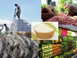 Doanh nghiệp Việt cần có chiến lược lâu dài để giữ vững thị trường xuất khẩu