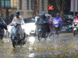 Dự báo thời tiết ngày 24/8: Bão Ma-on mạnh cấp 10, Bắc Bộ và Thanh Hoá mưa to